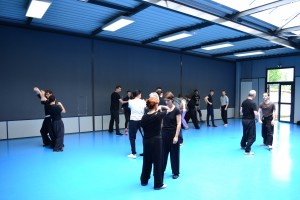 hunggarnancy-artsmartiaux-wushu-kungfu-ericbourbonnais-18juin2016-25    